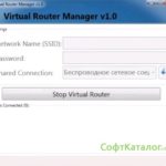 Virtual Router 0